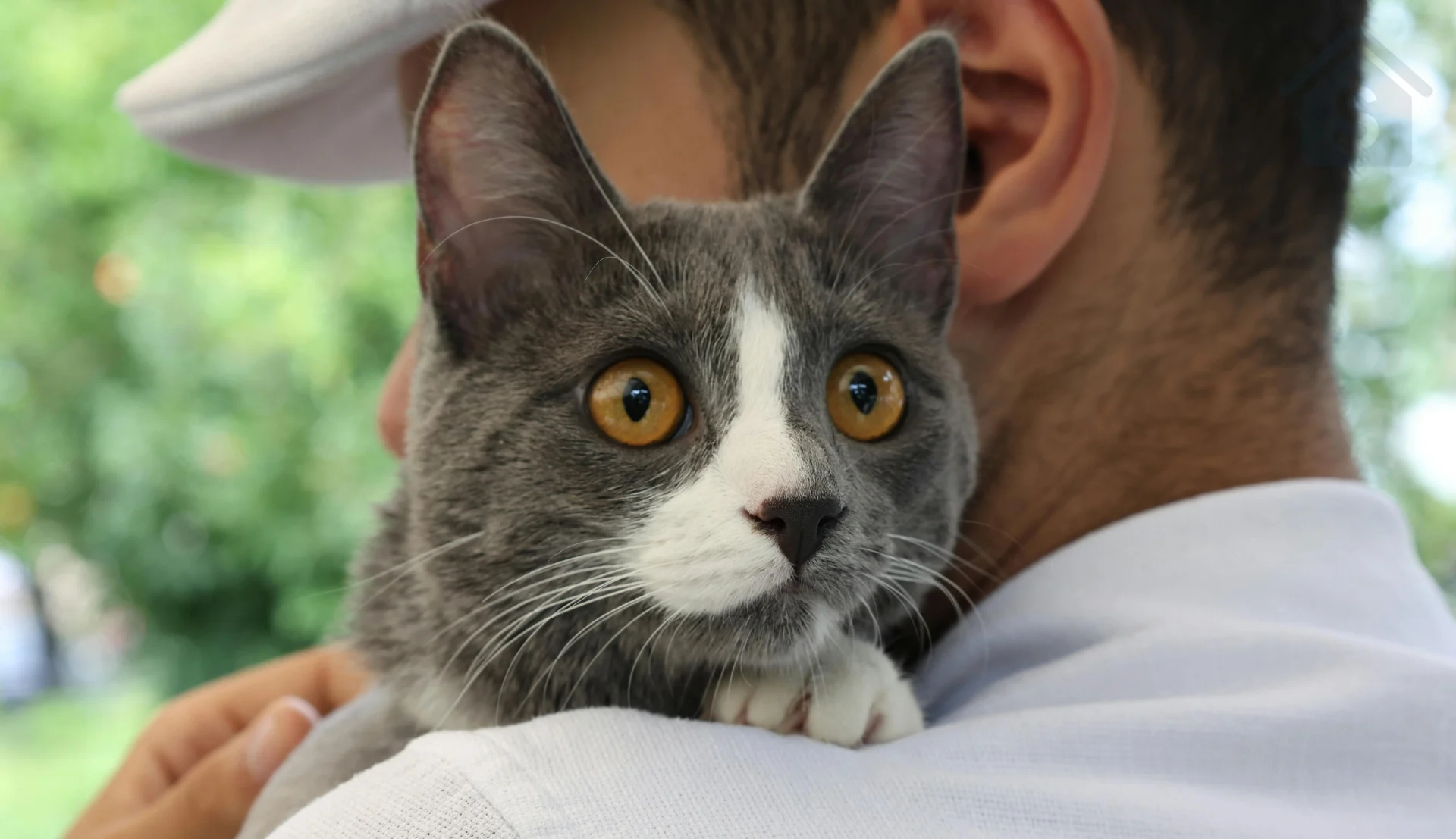 Current Refinance Rates: What Homeowners Should Know