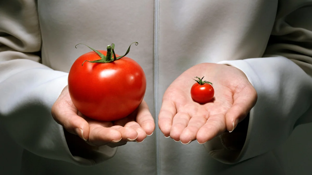 Buyers Are Researching Home Loans Earlier Than Before